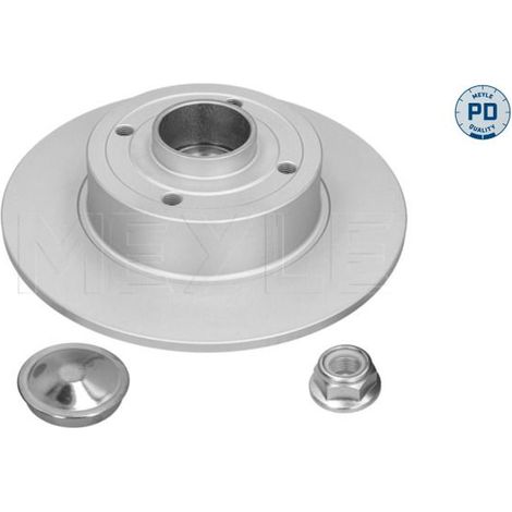 Lot de 2 Disques de frein MEYLE 16-15 523 4114/PD RENAULT 432005338R 432005347R
