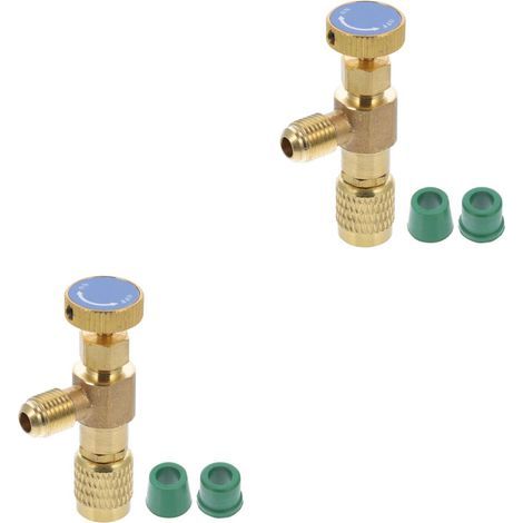 2Pièces Valve Fluorure Auto Bleu Étanche (1/2)