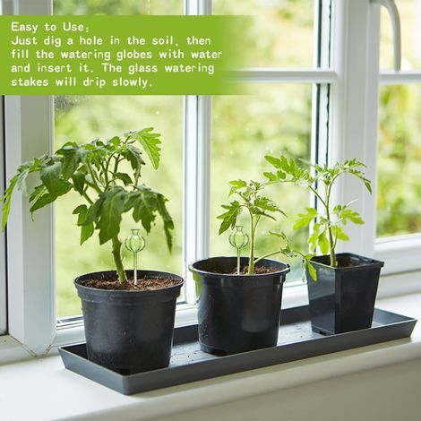 Selbstbewässernde Glas-Pflanzkugeln für Zimmer- und Gartenpflanzen (1) (1/5)