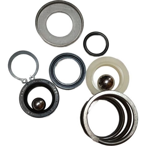Kit Completo Reparacion Piston compatible con Os25X  Ref 448078