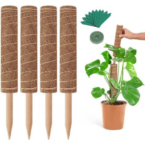 QORVA-Tuteur extensible en mousse en 4 parties - Support pour plantes grimpantes Monstera et Pothos - Support de jardin 5 x 40 cm - Utilisation intérieure et extérieure (1/4)