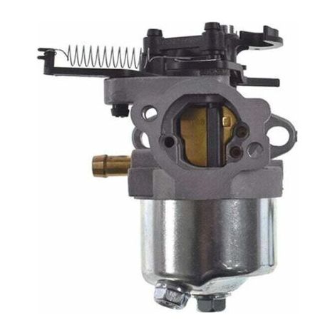 Convient pour carburateur Briggs & Stratton 591852 590834 793493 793463 (1/5)