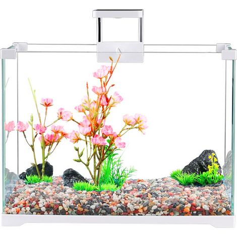 SunSun O-LED Aqua - set acquario da 25 litri (1/5)