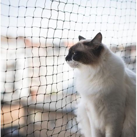 Filet pour chat - Filet de sécurité pour balcon - Filet - Filet anti-oiseaux - Filet pour chat de balcon - Filet anti-oiseaux noir - Nid d'oiseau - Noir - 5 x 10 mètres - Nylon noir (1/5)