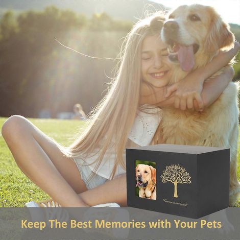 Urnes funéraires en bois pour animaux de compagnie, souvenir pour les cendres de chiens et de chats, cadeaux commémoratifs pour animaux de compagnie (1/4)
