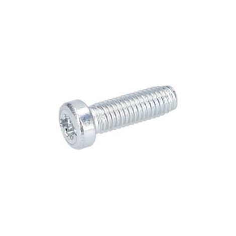 Vis autotaradeuse pour Marteau perforateur BOSCH OUTILLAGES - 1613435029