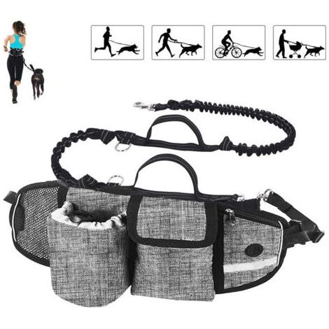 Laisse mains libres pour chien, absorbant les chocs, confortable et dotée de coutures réfléchissantes. Idéale pour la course, le jogging et la marche. Gris clair. (1/4)