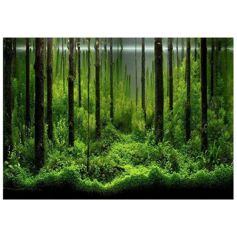 RHG PVC adhésif sous-marin forêt réservoir fond affiche toile de fond décoration papier (12246 cm)