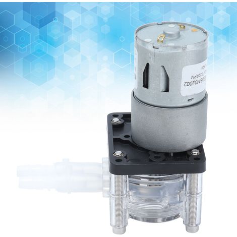 Peristaltische Hochleistungs-Dosierpumpe G928, 500 ml/min, 12 V (1/5)
