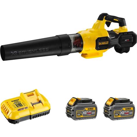 Souffleur Axial DeWALT DCMBA572T2SK (2 x 54V/18V FlexVolt 6,0 Ah DCB118) (1/5)