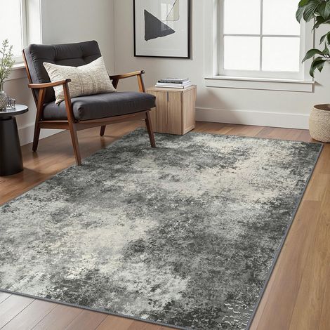 Tapis Salon Résumé 160x230cm Lavable en Machine Rug AntidéRapant Poil Ras, pour Chambre Salle a Manger Descente de Lit Bureau, Cuisine, Gris Anthracite (1/5)