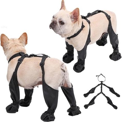 Chaussures pour chien, couvre-chaussures imperméables et antidérapants, bottes à bretelles, réglables, pour chiens de petite et moyenne taille, adaptées à la neige et à la pluie, taille M (1/5)