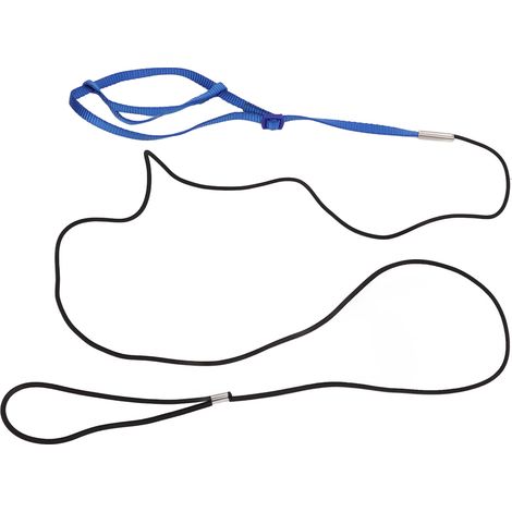 Harnais pour perroquet avec laisse réglable, corde de traction et crochet pour oiseaux et perroquets, bleu royal, taille M (1/5)