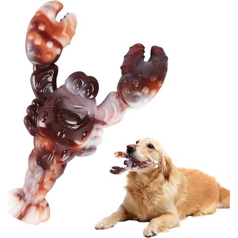 Giocattoli da masticare per cani, giocattoli per cani di Taglia Media e Grande, Chiens de Taille Moyenne et Grande Taille, brossage des Dents (1/5)