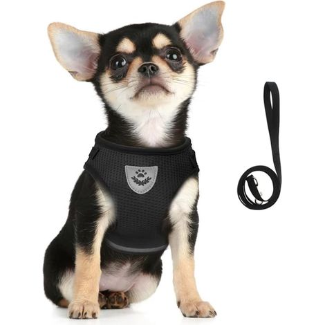 Harnais et Laisse pour Chiens, Ensemble Harnais Rembourré en Mesh Doux pour Chiots et Chats, Veste Respirant Réglable Réfléchissant Intérieur pour Marcher, Courir, Formation (1/5)