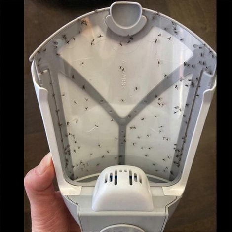 Kit de remplacement de 8 boîtes pour pièges à mouches compatibles avec les lampes anti-moustiques collantes M364 et Max (1/4)