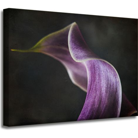 Leinwanddruck „Lila Blütenblatt“, 40 x 30 cm