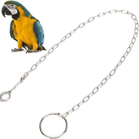 Cadena para patas de pájaro, cuerda de entrenamiento de acero inoxidable para vuelo, anillo para tobillo y pie de loro para exteriores, accesorios para arnés de pájaro, tamaño 10 (1/4)