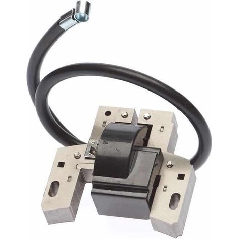 Bobine Électronique Adaptable Moteurs BRIGGS & STRATTON 5 ch, 100200, 100900, 130220 à 132900 - Remplace Origine 298316, 395491, 397358, 490586, 491312, 492312, 492341, 495859 et plus