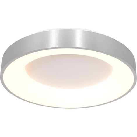 Steinhauer - deckenleuchte - Ringlede - silber - kunststoff (1/5)