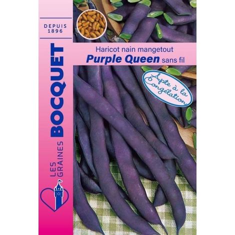 Haricot nain Purple Queen (cosses violettes) - 80g