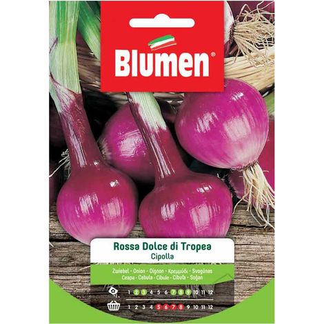 SEMI CIPOLLA ROSSA DOLCE DI TROPEA BLUMEN