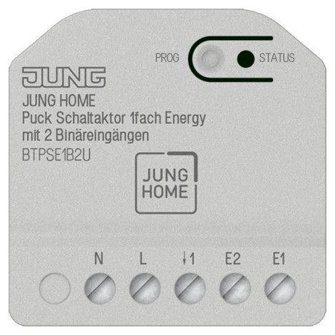 JUNG HOME BTPSE1B2U PUCK ACTIONNEUR DE COMMUTATION ENERGY 1 FOIS ENCASTRÉ - MESURE DE L'ÉNERGIE ET 2 ENTRÉES BINAIRES