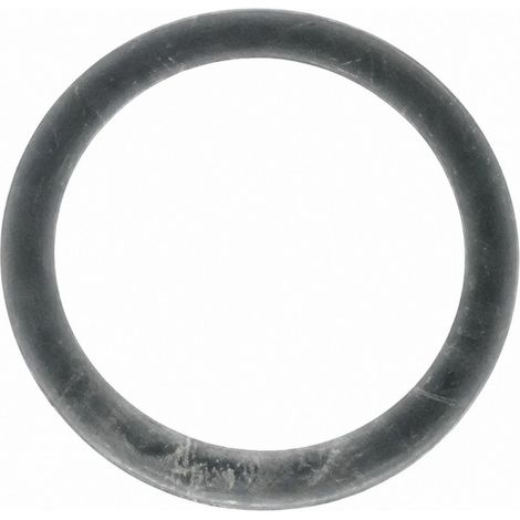 Dichtung Mikrophos 1kg Serie 3 - Ø100x120 ep.3