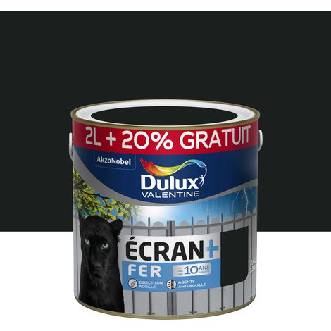 Peinture Écran + Fer Noir (1/3)