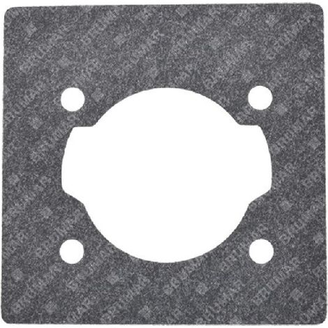 Guarnizione cilindro per soffiatori GREEN LINE Compatibile - 055721
