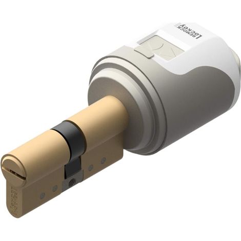 Serrure électronique intelligente avec cylindre 35 x 35 mm - REMOCK (1/4)