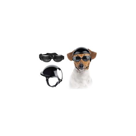 Casque et lunettes pour chien, chapeau de sport pour animaux de petite et moyenne taille avec protection UV, lunettes de soleil, (1/5)