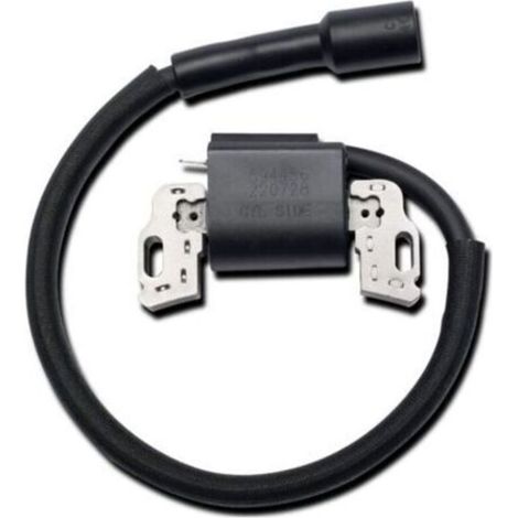 594626 594456 795315 592841 Bobina de encendido, repuestos para generador de gasolina, bobina de encendido para motor de cortacésped (1/5)