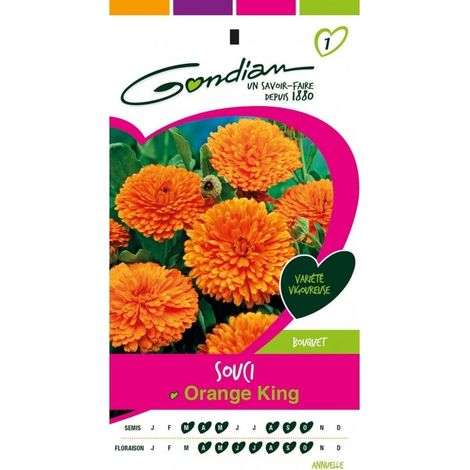 Gondian - Souci Orange King