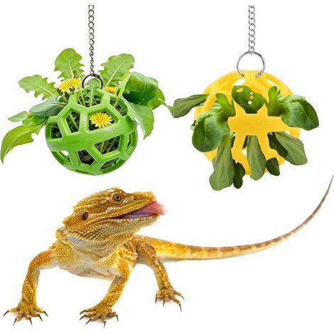 Accesorios para terrarios con ventosas y enriquecimiento ambiental para dragones barbudos  Bola interactiva para camaleones, apta para diversos terrarios y jaulas – para dueños y criadores de mascotas (1/5)