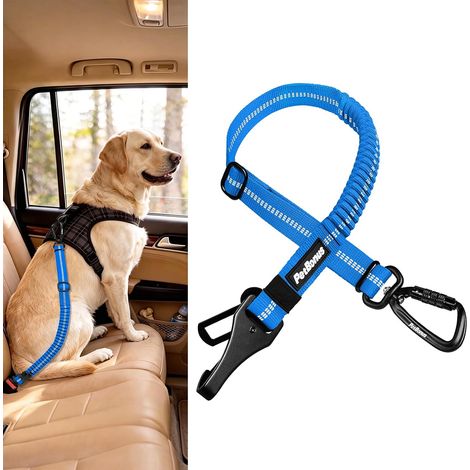 Ceinture Chien Voiture, Solide Attache Chien Voiture pour Animal (1/5)