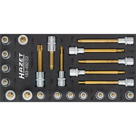 HAZET TORX® Schraubendreher-Steckschlüssel-Einsatz-Satz 163-492/22 Vierkant ho (1/5)