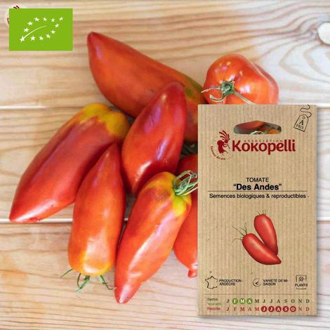 Tomate Des Andes rouge- Graines bio à semer