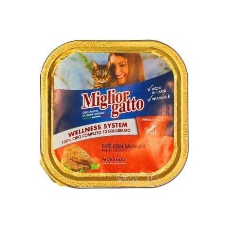 Vaschetta di patè con Salmone Gr. 100