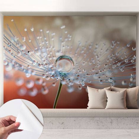 Selbstklebende Tapete - Wanddekoration Wohnzimmer - Tapete Schlafzimmer Ein Tropfen auf einer Pusteblume 208x146 cm (1/5)