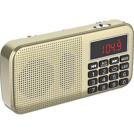 (Or) Radio FM Bluetooth avec deux emplacements pour cartes TF, interface USB/AUX, lampe torche et deux batteries. (1/2)