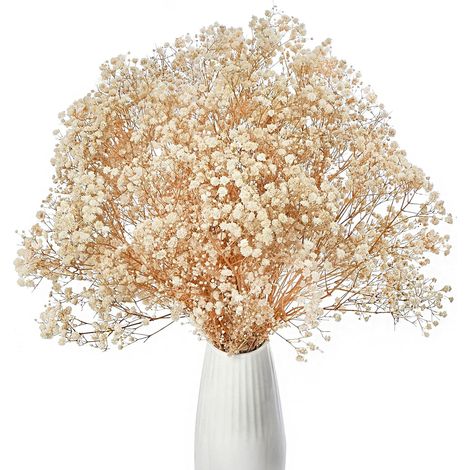 Gypsophile Séché Fleurs Rose, 42cm Naturel Gypsophila Fleurs Sechees Plus de 3000 Floraux Boutons enpour Rose Gypsophile pour Mariage, Décoration Maison, DIY et Fête (Blanc Cassé) (1/5)