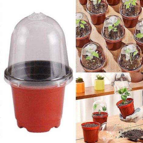 Pots de semis en plastique pour plantes succulentes, bouturage et repiquage (1/4)