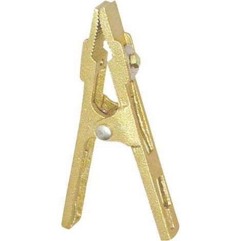 Pince de masse CROCO B250.25 – Capacité 250A, Haute Performance, Idéale pour Applications Électriques et de Soudure