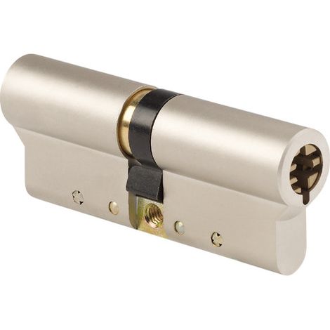 Cylindre double entrée 30X30mm à 5 ailettes finition nickelé - POLLUX – 955533 (1/3)