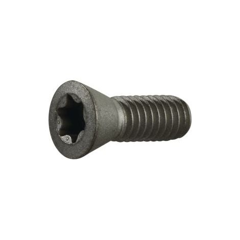 Tornillo  tensor  Gr.T20  p.TCMT  16/SCMT  12  p.fresadora  de  chaflanes  TECWERK (1/2)
