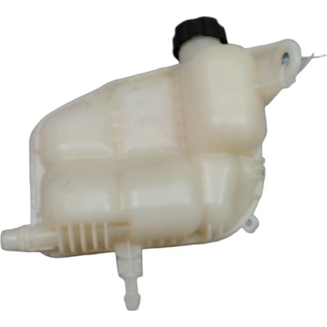 Vase Expansion Mini Mini 2010- [PRODUIT D'OCCASION]♻️17138687503 (1/3)