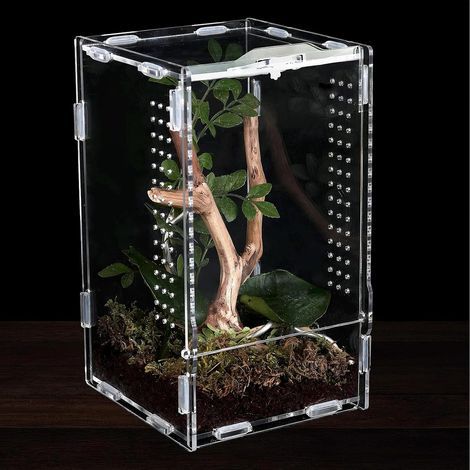 1 Acryl-Terrarium, transparent, 11x12x20cm, mit Belüftungslöchern, für Reptilien und Insekten (1/5)