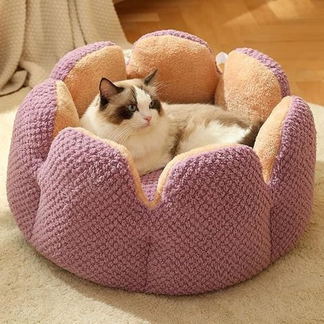 Lit pour Chat Lit pour Chien Lit pour Chat Lavable, Forme pétale de Cactus Lit pour Chat canapé, Mignon nid en Peluche, Voilet,S (1/4)