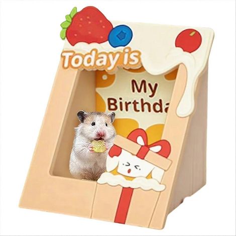 Cachettes en bois pour hamsters, petits habitats pour animaux, cadres photo confortables, maisons pour hérissons, cochons d'Inde et furets (1/5)